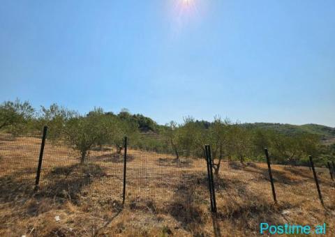 SHITET: TOKË PREMIUM NË PICALLË – 2,000 m² - 6/8