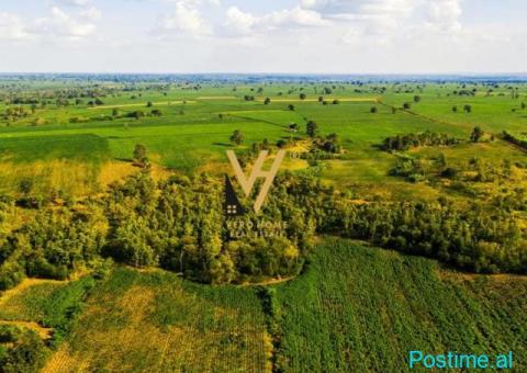 SHITET TOKE 3.000 M2 NE MANGULL, QEHA 415.000 EURO