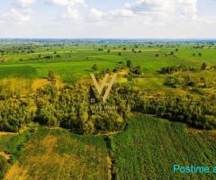 SHITET TOKE 3.000 M2 NE MANGULL, QEHA 415.000 EURO