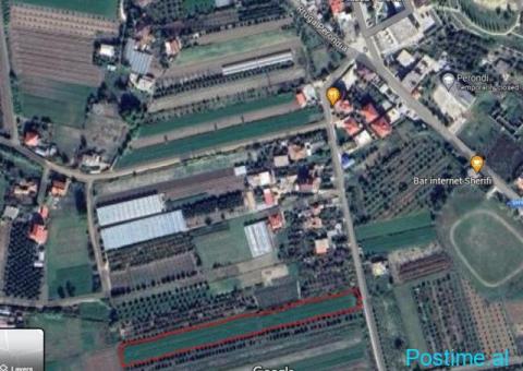 Shitet Toka 4500m² Perondi Kucove