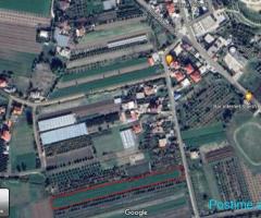 Shitet Toka 4500m² Perondi Kucove