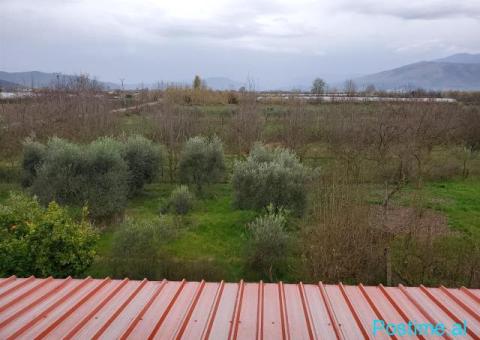 Shitet Toka 4500m² Perondi Kucove - 2/2