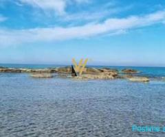 SHITET TOKE 4.000 M2 NE SPILLE, GURI LEMUAR 800.000 EURO