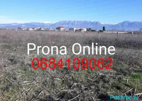 SHITET Toke 7.000 m2 prane rruges Rinas Ura e Gjoles - 1/5
