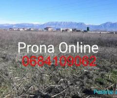 SHITET Toke 7.000 m2 prane rruges Rinas Ura e Gjoles