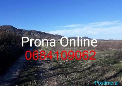 SHITET Toke 7.000 m2 prane rruges Rinas Ura e Gjoles - 2/5