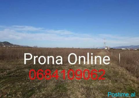 SHITET Toke 7.000 m2 prane rruges Rinas Ura e Gjoles - 3/5