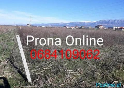 SHITET Toke 7.000 m2 prane rruges Rinas Ura e Gjoles - 4/5