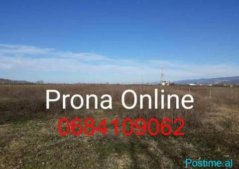 SHITET Toke 7.000 m2 prane rruges Rinas Ura e Gjoles - 5/5