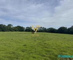 SHITET TOKE ARE 7.000 M2 NE VISHNJE 665.000 EURO