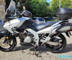 shitet SUZUKI