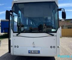 Shitet autobusi