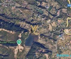 SHITET TOKE 5000 M2 NE PRISKE 200.000 EURO