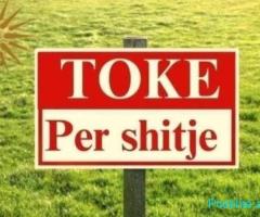 🌿 SHITET TOKË TRUALL – PRANË BRUNESIT, AUTOSTRADA TIRANË–DU