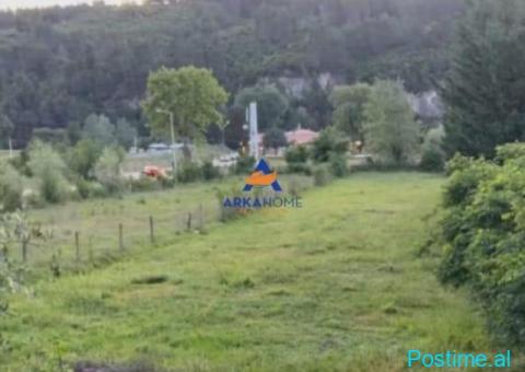 SHITET TOKE 3000M2 'IBE' 225.000 EURO