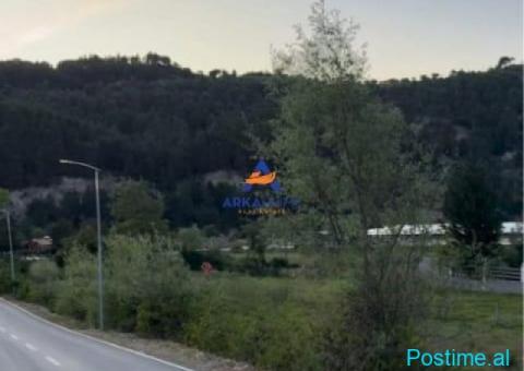 SHITET TOKE 3000M2 'IBE' 225.000 EURO - 2/2