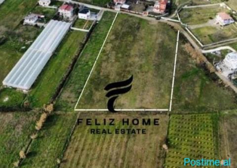 SHITET TRUALL 7000M2 PRUSH 700.000 EURO - 1/3