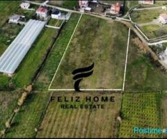 SHITET TRUALL 7000M2 PRUSH 700.000 EURO