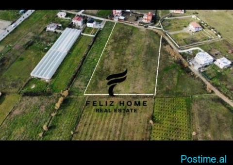 SHITET TRUALL 7000M2 PRUSH 700.000 EURO - 2/3