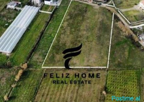 SHITET TRUALL 7000M2 PRUSH 700.000 EURO - 3/3