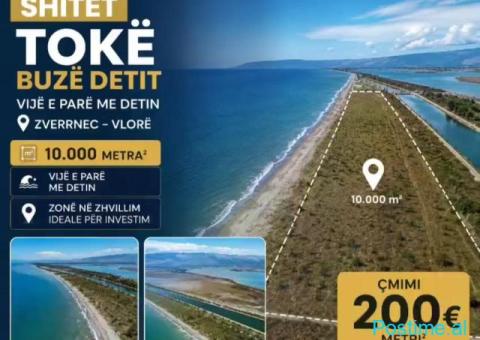 🏝️ SHITET TOKË NË ZVËRNEC – VIJA E PARË ME DETIN
