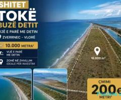 🏝️ SHITET TOKË NË ZVËRNEC – VIJA E PARË ME DETIN