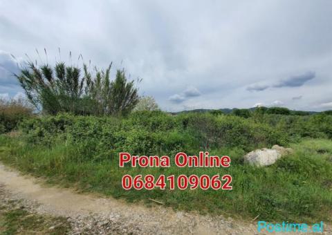 SHITET 2.000 m2 në Përparim rruga Peqin-Elbasan - 3/5