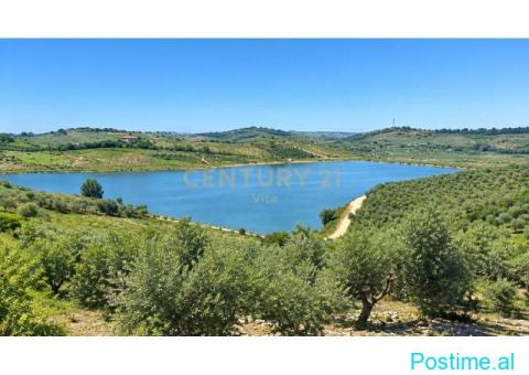 +355693150128. Shitet Truall 10,459 m² me Pamje të Gjerë në