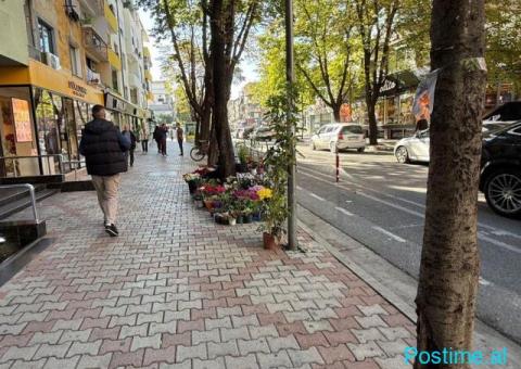 DYQAN ME QERA 310 M2 SHESHI WILLSON 8.000 EURO - 1/3