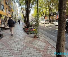 DYQAN ME QERA 310 M2 SHESHI WILLSON 8.000 EURO