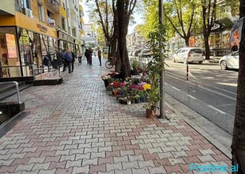 DYQAN ME QERA 310 M2 SHESHI WILLSON 8.000 EURO - 2/3