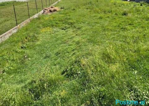 SHITET TOKE 1200 M2 ME NJOLLE NDERTIMI XHAFZOTAJ 60000 EURO