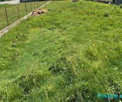 SHITET TOKE 1200 M2 ME NJOLLE NDERTIMI XHAFZOTAJ 60000 EURO