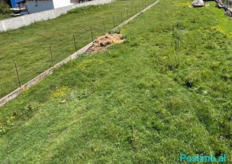 SHITET TOKE 1200 M2 ME NJOLLE NDERTIMI XHAFZOTAJ 60000 EURO - 2/2
