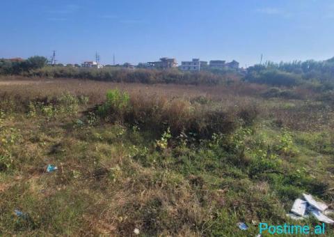 Shitet toke prane Mbikalimit te Shkozetit, Durres - 3/3