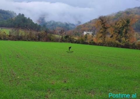 SHITET TOKE 3500 M2 PETRELE 31.500.000 LEKE FH-77391