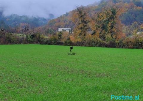 SHITET TOKE 3500 M2 PETRELE 31.500.000 LEKE FH-77391 - 2/2