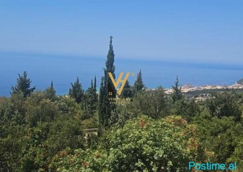 SHITET TOKE 1.000 M2 NE PALASE 220.000 EURO