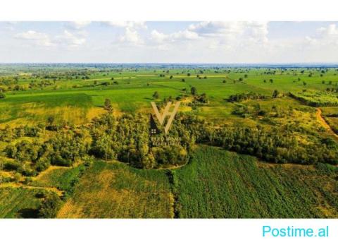 SHITET TOKE 1.000 M2 NE IBE E POSHTME 11.500.000 LEKE