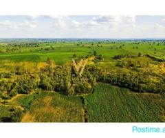 SHITET TOKE 1.000 M2 NE IBE E POSHTME 11.500.000 LEKE