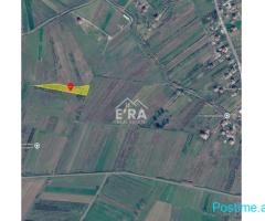 SHITET TOKË 2800m² ME 120 RRENJË ULLINJ NË MAMINAS, DURRËS