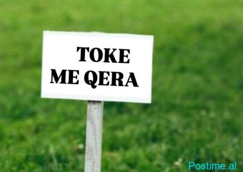 JEPET ME QERA TOKE PER BIZNES NE SAUK.