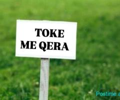 JEPET ME QERA TOKE PER BIZNES NE SAUK.