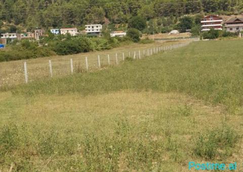 (S)🟢 SHITET TOKË 4,500 m² – RRUGË KRYESORE - 2/3