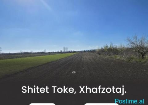 Shitet toke, Xhafzotaj. - 2/3