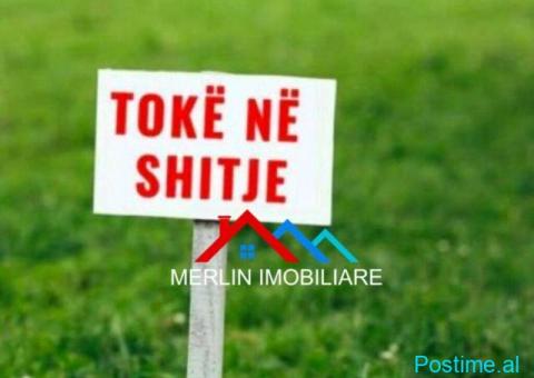 SHITET TOKE BUZE DETIT 3,000M2 NE HIMARE, VLORE.