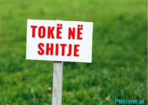 SHITET TOKE NE SAUK.
