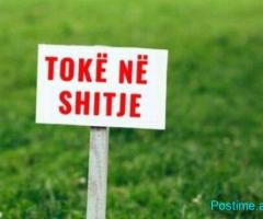 SHITET TOKE NE SAUK.