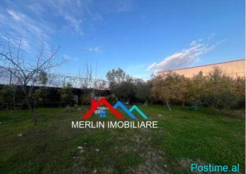 JEPET TOKE ME QERA 2,000M2 DHE 280M2 KAPANON. - 3/3