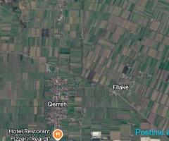 ID 20904046 SHITET TOK ARE QERRET DURRËS